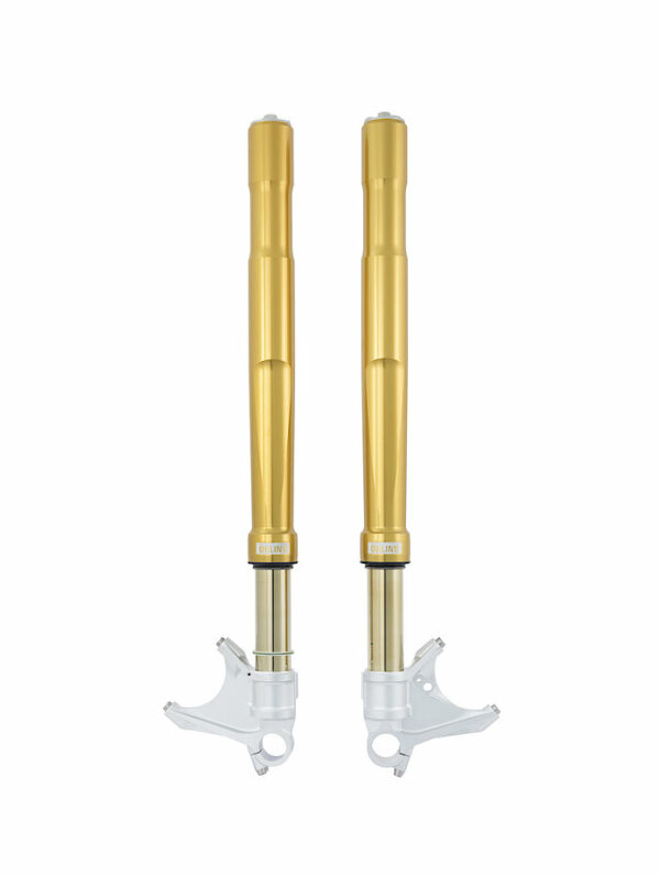 Öhlins FGRT Upside Down Front Fork Road & Track FGRT 232