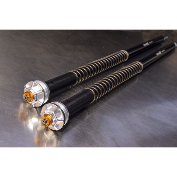 Andreani Misano EVO Fork Cartridge Kit – Aprilia Shiver 750 (2008–2011) – 105/A01E